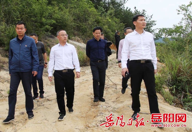 臨湘市：劉琦調研礦產(chǎn)資源開發(fā)利用和礦山安全生產(chǎn)工作